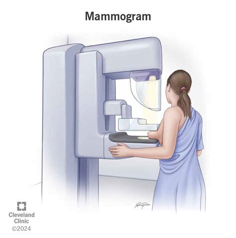 what is the purpose of mammography brainly